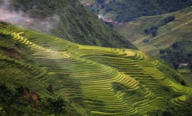 Vietnam rice mountains