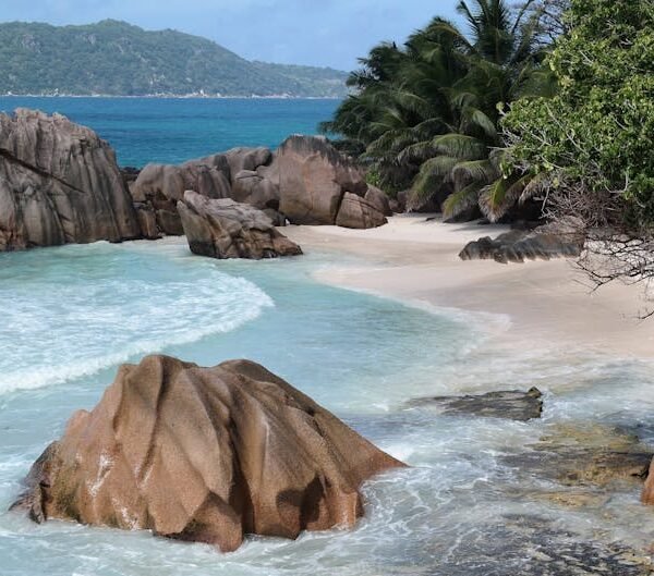 Serene tropical beach with unique rock formations and lush palm trees.